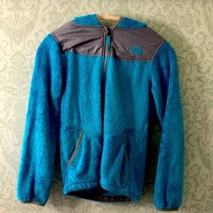 The north face blue fleece zip up jacket.